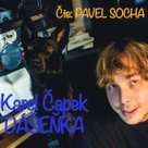 Dášeňka čili život štěněte