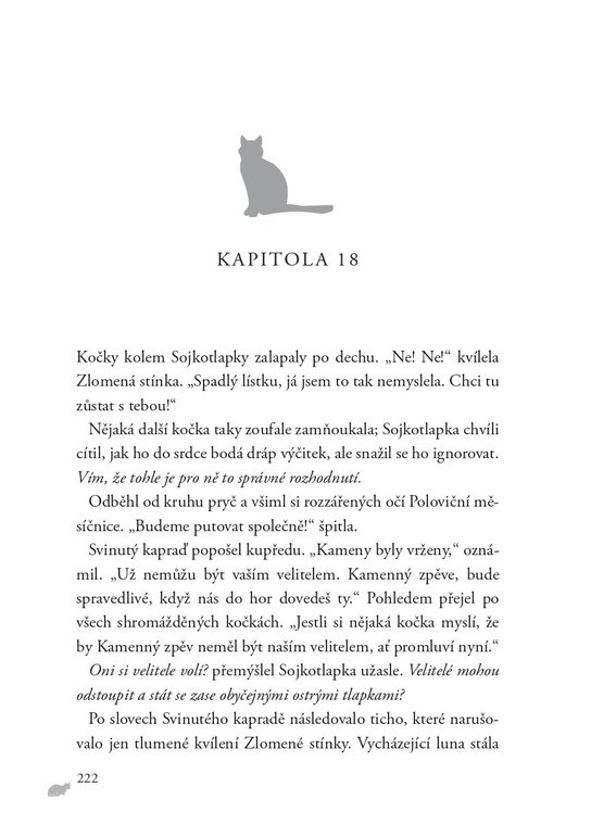 Kočičí válečníci: Síla tří (5) – Dlouhé stíny