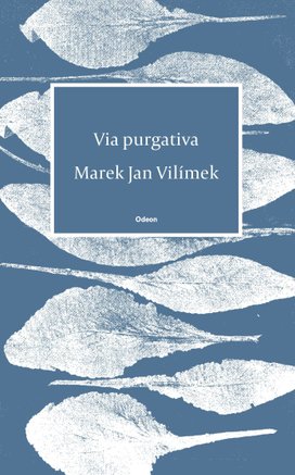 Via purgativa