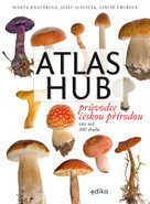 Atlas hub
