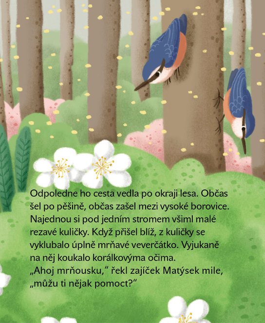 Matýskovy dobré skutky 