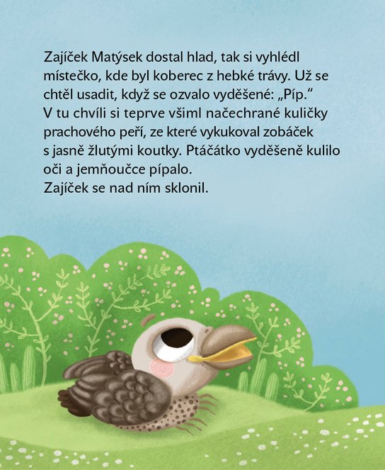 Matýskovy dobré skutky 