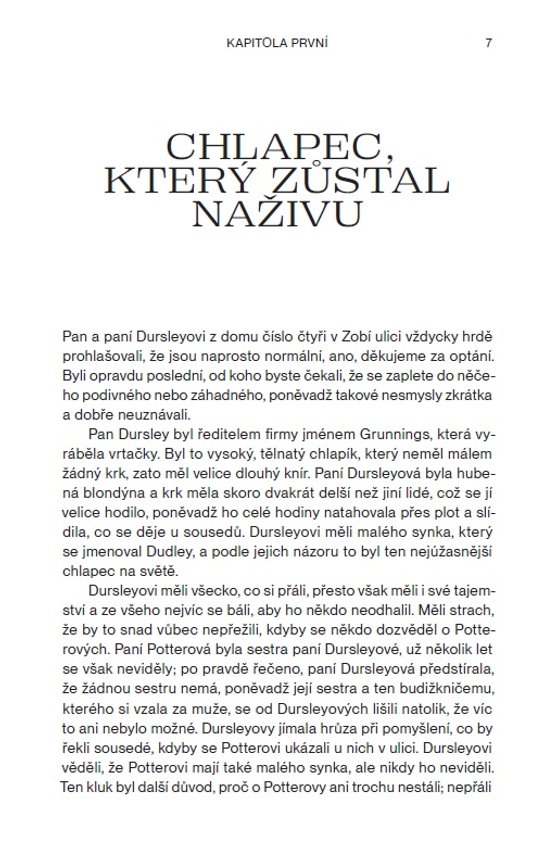 Harry Potter a Kámen mudrců