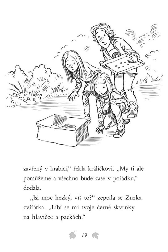 Příběhy se šťastným koncem - Osamělý králíček