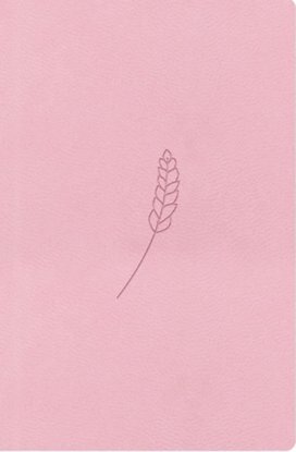 Bible21 kapesní Rosé