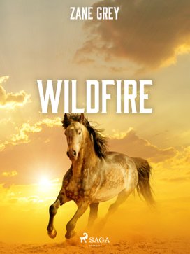 Wildfire