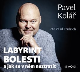 Labyrint bolesti