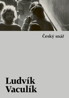 Český snář