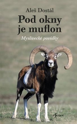 Pod okny je muflon