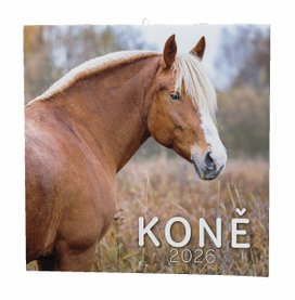 Koně 2026 - nástěnný kalendář