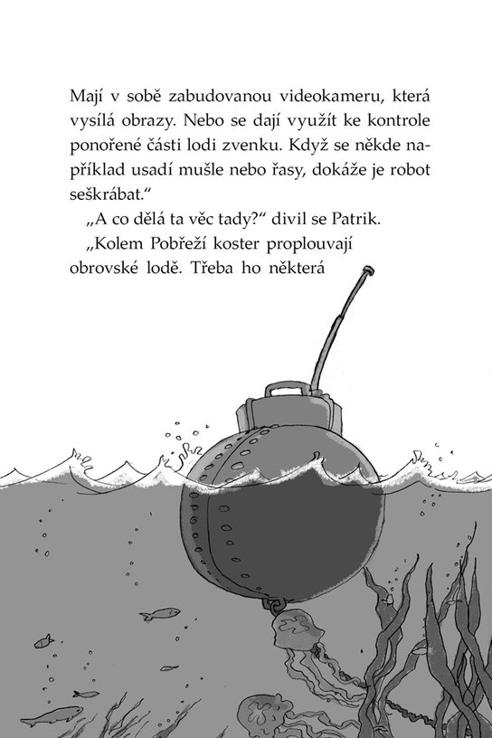 Klub Tygrů - Pobřeží koster
