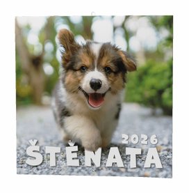 Štěňata 2026 - nástěnný kalendář