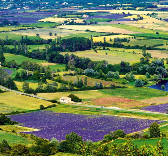 Provence vázanka 2026 - nástěnný kalendář