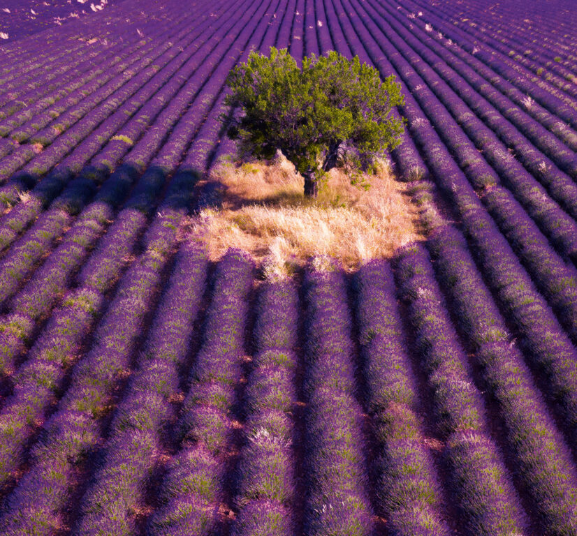 Provence vázanka 2026 - nástěnný kalendář