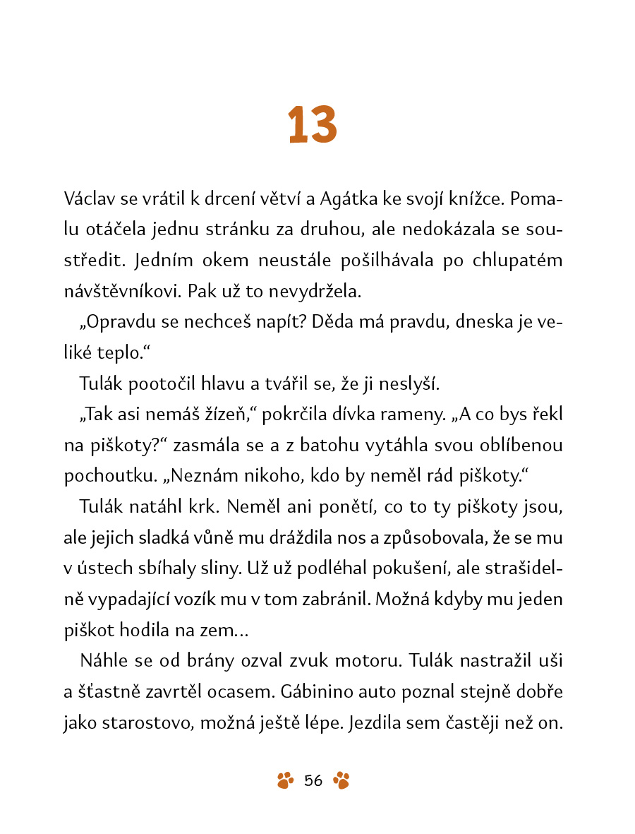 Tulák – Příběh nevšedního přátelství