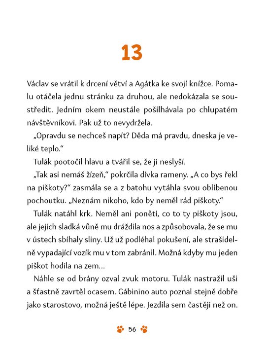 Tulák – Příběh nevšedního přátelství