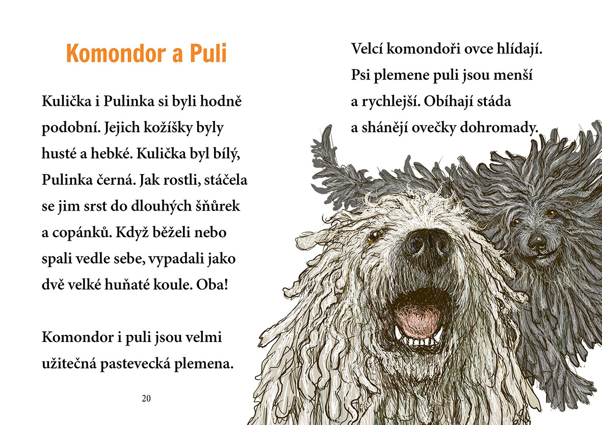 Pejsek Kulička a veselé sny – Začínám číst