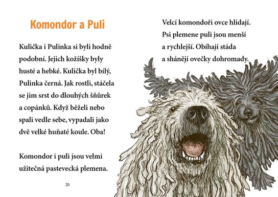 Pejsek Kulička a veselé sny – Začínám číst