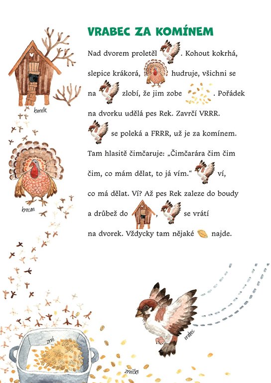R a Ř v obrázcích