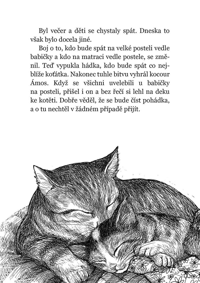 Vánoční koťátko