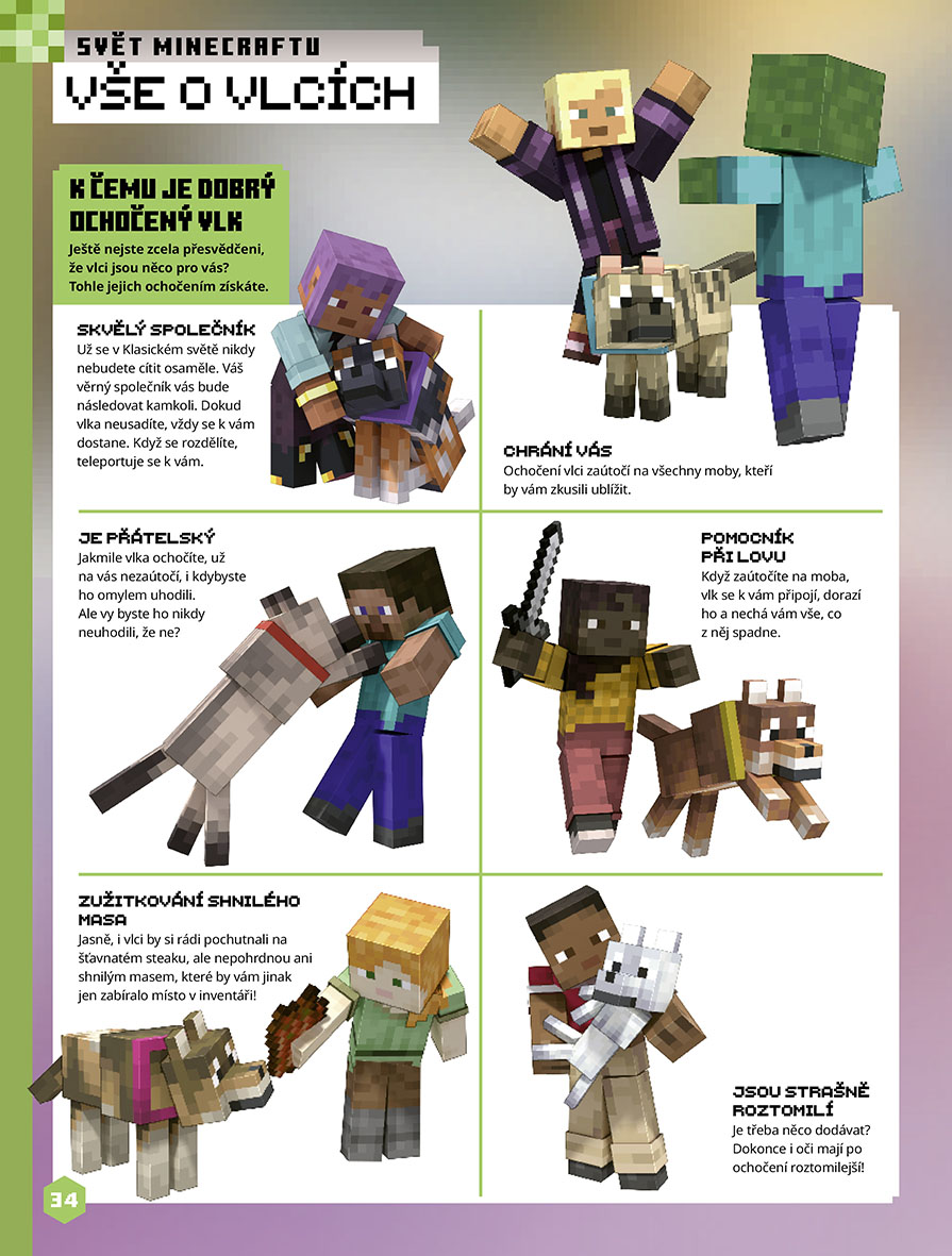 Minecraft - Knížka zábavy na celý rok 