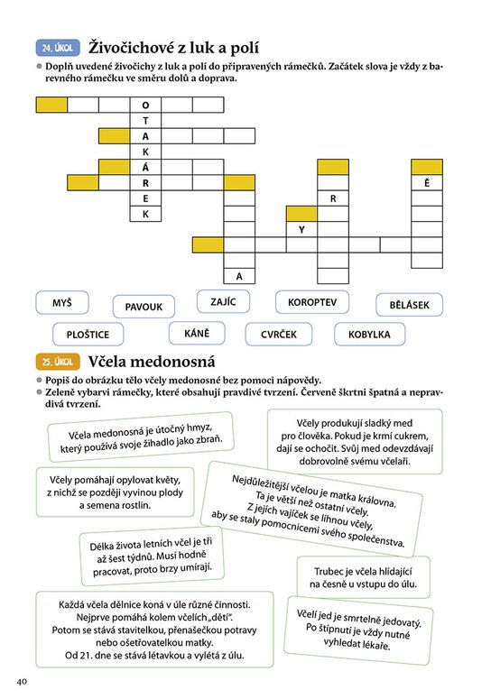 Prvouka hrou - Zábavné aktivity pro 1. až 3. třídu ZŠ