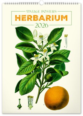 Vintage plakáty Herbář 2026 - nástěnný kalendář