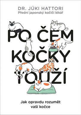 Po čem kočky touží?