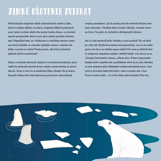 Zima vo svete zvierat