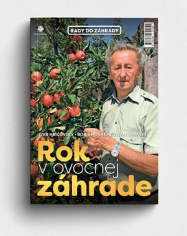 Rok v ovocnej záhrade