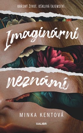 Imaginární neznámí