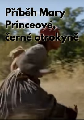 Příběh Mary Princeové, černé otrokyně