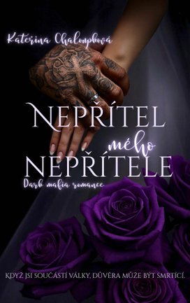 Nepřítel mého nepřítele
