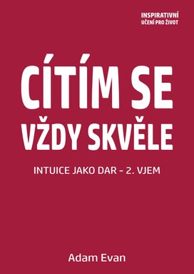 Cítím se vždy skvěle, Intuice jako dar 2. Vjem