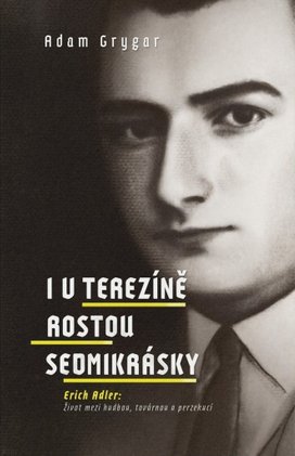I v Terezíně rostou sedmikrásky