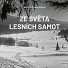 Ze světa lesních samot