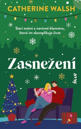 Zasnežení