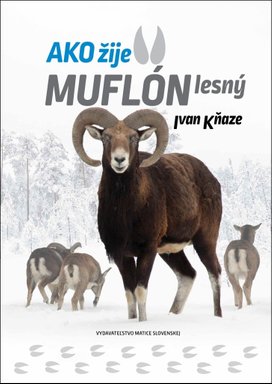 Ako žije muflón lesný