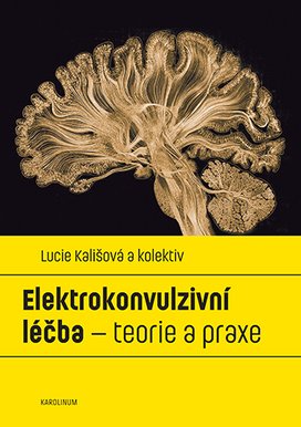Elektrokonvulzivní léčba – teorie a praxe