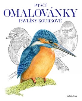 Ptačí omalovánky Pavlíny Kourkové 
