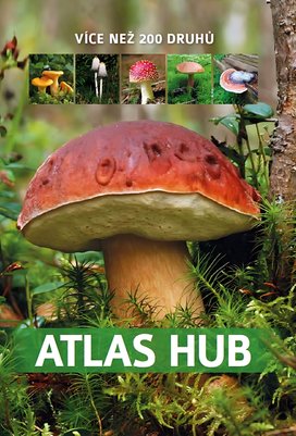 Atlas hub