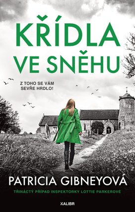 Křídla ve sněhu