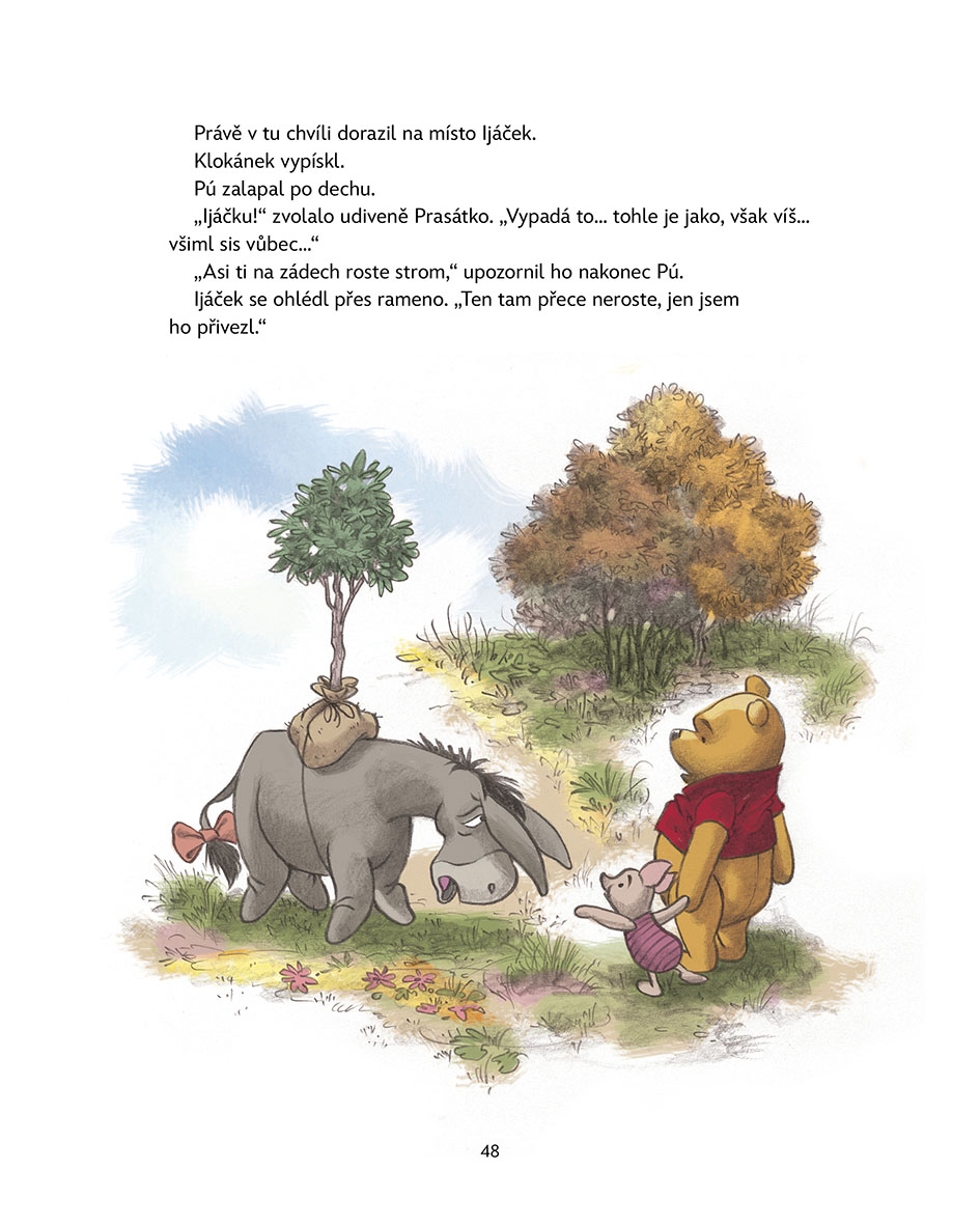 Medvídek Pú - Kouzelný les
