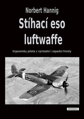 Stíhací eso luftwaffe