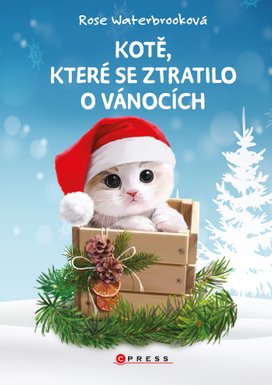 Kotě, které se ztratilo o Vánocích