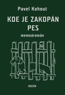 Kde je zakopán pes