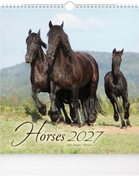 Horses 2027 - nástěnný kalendář