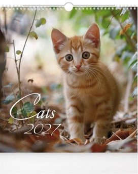 Cats 2027 - nástěnný kalendář