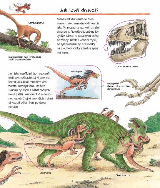 Vše o dinosaurech