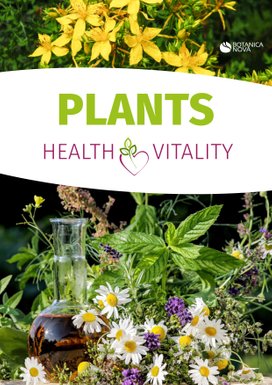 Plants for health and Vitality